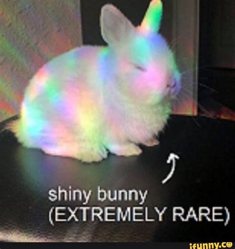 asstr bunny|Extremely Underage .